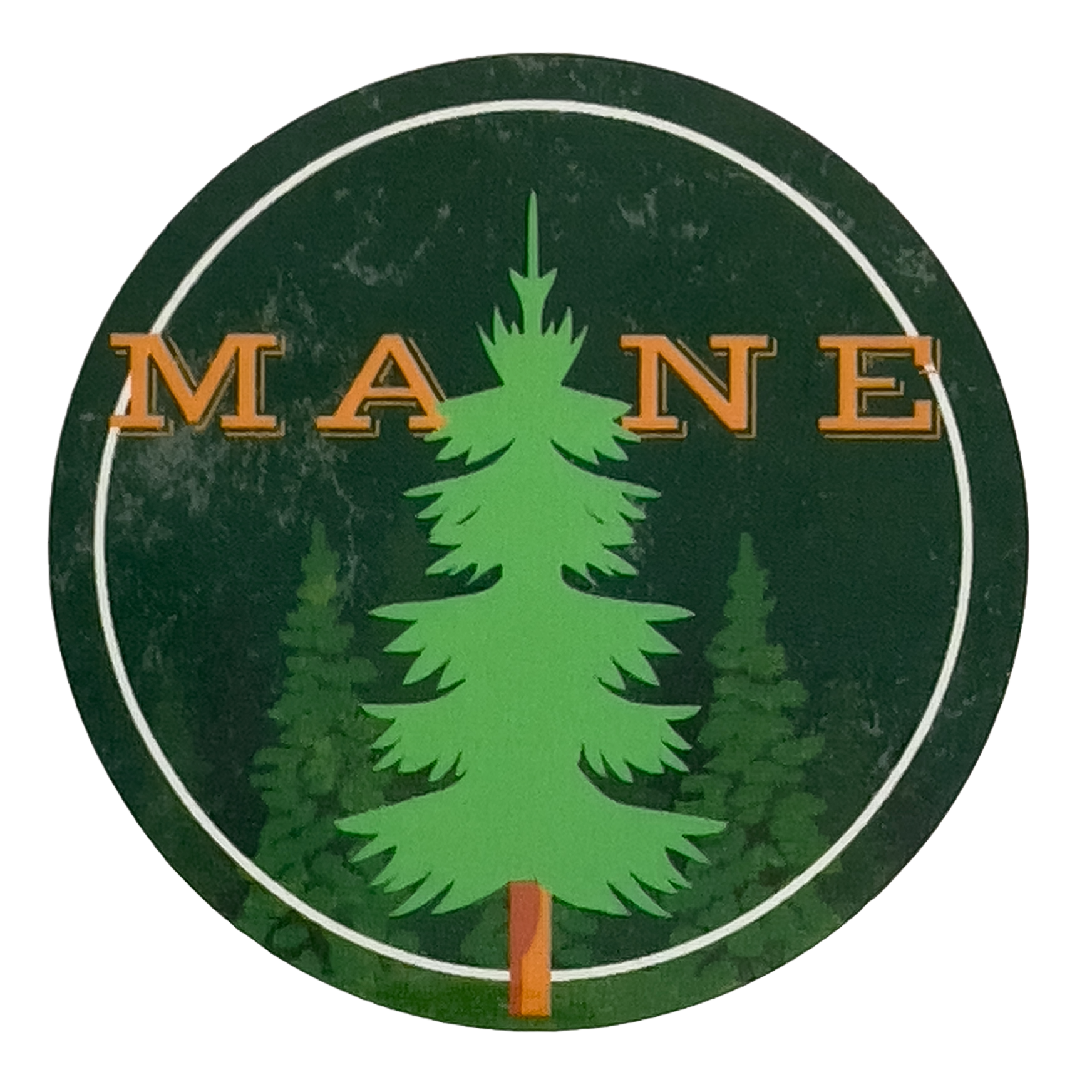 Maine Pine Tree Sticker